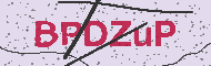 Güvenlik Kodu